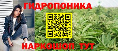 spice Бузулук