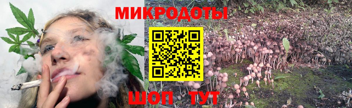Бошки Шишки Санкт-Петербург