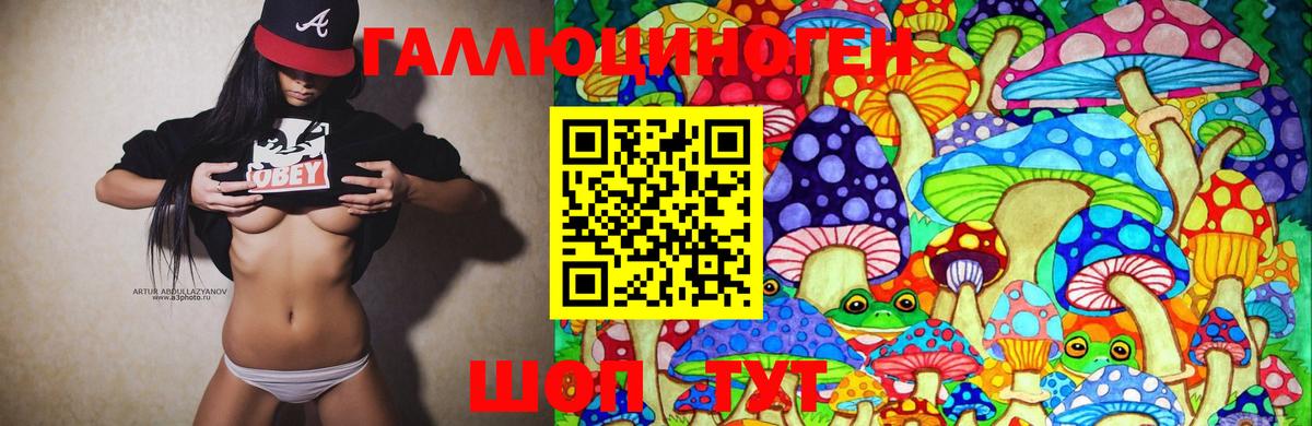 Галлюциногенные грибы MAGIC MUSHROOMS Санкт-Петербург